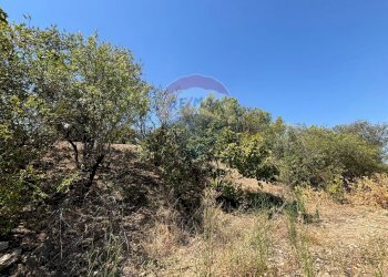 Vista delle montagne - Agricultural land cda feccia di vino
 
sn, Ramacca - photo 15