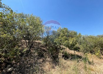 Vista delle montagne - Agricultural land cda feccia di vino
 
sn, Ramacca - photo 16