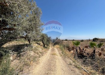 Vista delle montagne - Agricultural land cda feccia di vino
 
sn, Ramacca - photo 18