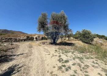 Vista delle montagne - Agricultural land cda feccia di vino
 
sn, Ramacca - photo 19