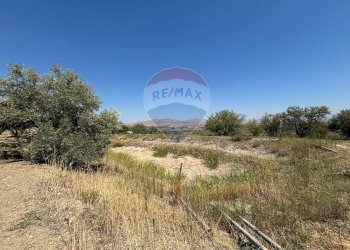 Vista delle montagne - Agricultural land cda feccia di vino
 
sn, Ramacca - photo 21
