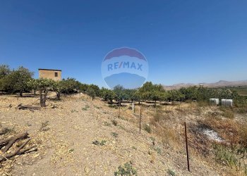 Vista delle montagne - Agricultural land cda feccia di vino
 
sn, Ramacca - photo 22