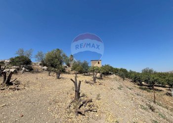 Vista delle montagne - Agricultural land cda feccia di vino
 
sn, Ramacca - photo 23