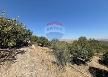 Vista delle montagne - Agricultural land cda feccia di vino
 
sn, Ramacca - photo 24