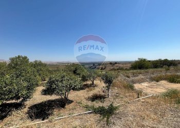 Vista delle montagne - Agricultural land cda feccia di vino
 
sn, Ramacca - photo 25