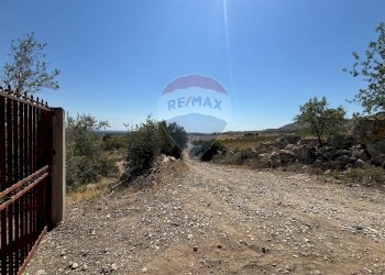 Vista delle montagne - Agricultural land cda feccia di vino
 
sn, Ramacca - photo 31