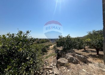 Vista delle montagne - Agricultural land cda feccia di vino
 
sn, Ramacca - photo 33