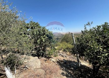 Giardino - Agricultural land cda feccia di vino
 
sn, Ramacca - photo 34