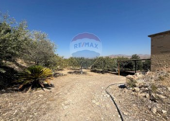 Giardino - Agricultural land cda feccia di vino
 
sn, Ramacca - photo 36