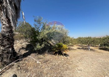 Giardino - Agricultural land cda feccia di vino
 
sn, Ramacca - photo 37