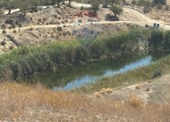 Vista delle montagne - Agricultural land cda feccia di vino
 
sn, Ramacca - photo 40
