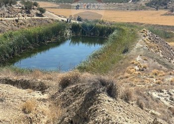 Vista dell\'acqua - Agricultural land cda feccia di vino
 
sn, Ramacca - photo 41