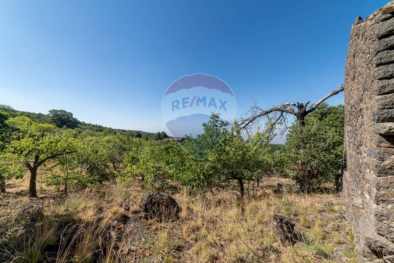 Vista delle montagne - Terreno agricolo C.da Contea
 
1, Biancavilla - foto 3