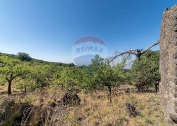 Vista delle montagne - Terreno agricolo C.da Contea
 
1, Biancavilla - foto 3
