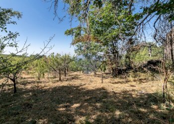 Giardino - Terreno agricolo C.da Contea
 
1, Biancavilla - foto 4