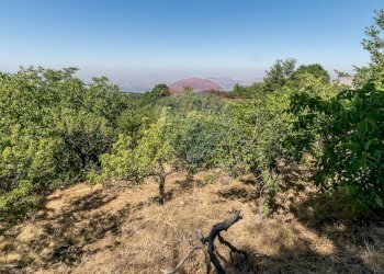 Giardino - Terreno agricolo C.da Contea
 
1, Biancavilla - foto 16