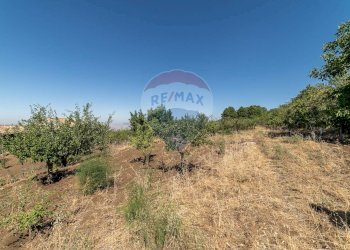 Vista delle montagne - Terreno agricolo C.da Contea
 
1, Biancavilla - foto 22