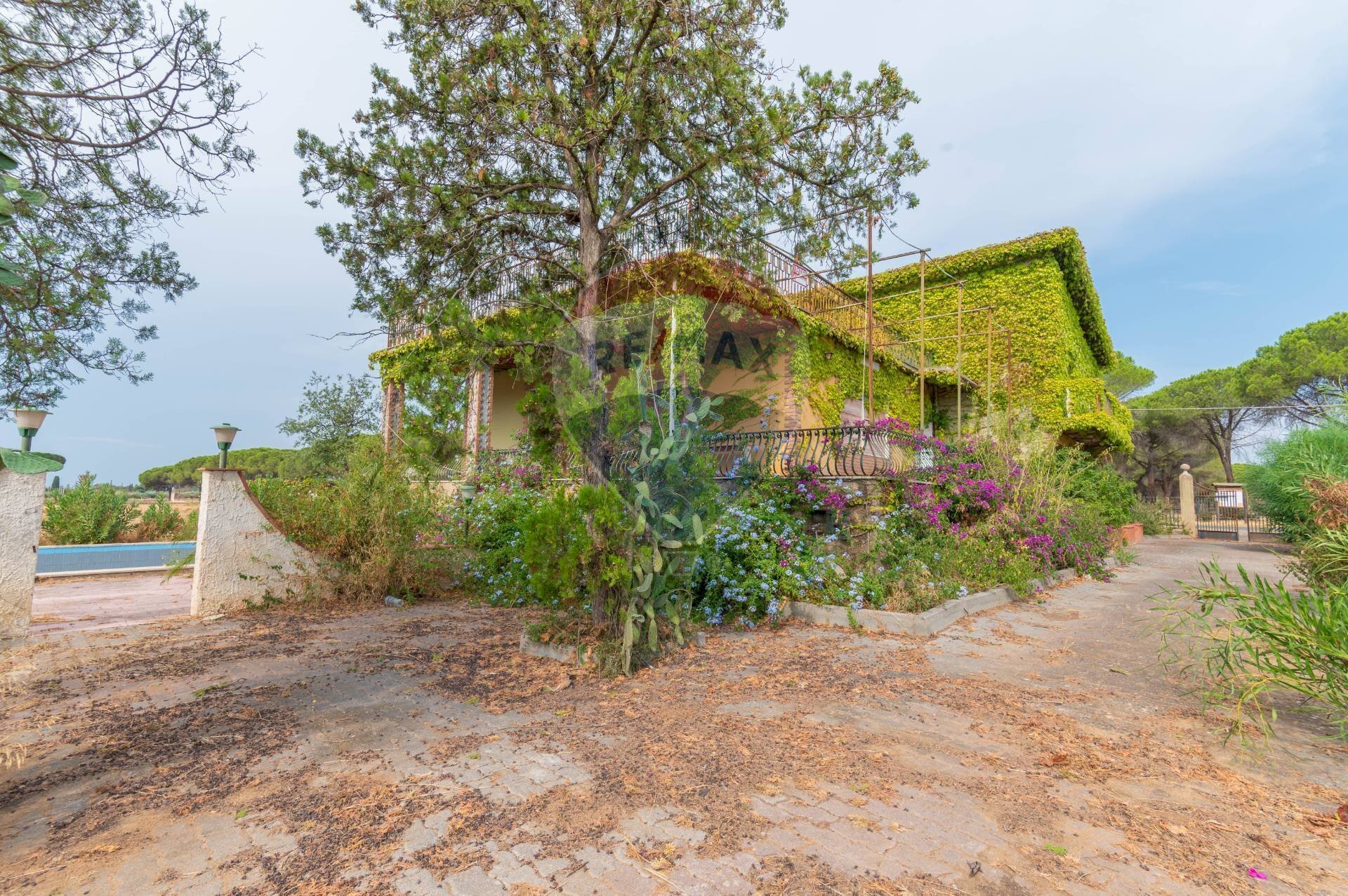Giardino - Villa Via Andromeda
 
1, Caltagirone - foto 3