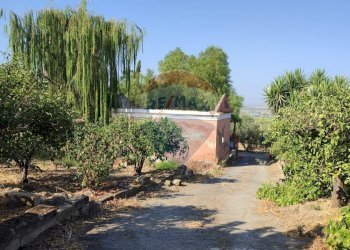 Giardino - Terreno agricolo Contrada PREFALACI
snc, Paterno - foto 1