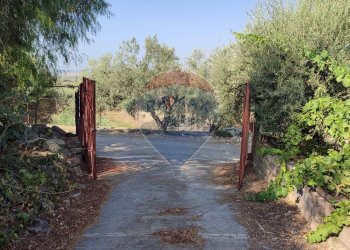 Giardino - Terreno agricolo Contrada PREFALACI
snc, Paterno - foto 6