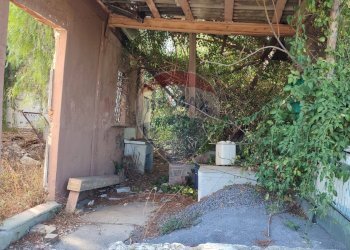 Giardino - Terreno agricolo Contrada PREFALACI
snc, Paterno - foto 7