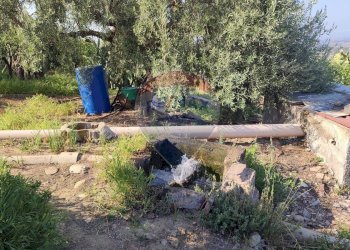 Giardino - Terreno agricolo Contrada PREFALACI
snc, Paterno - foto 23