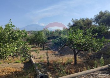 Vista delle montagne - Terreno agricolo Contrada PREFALACI
snc, Paterno - foto 24