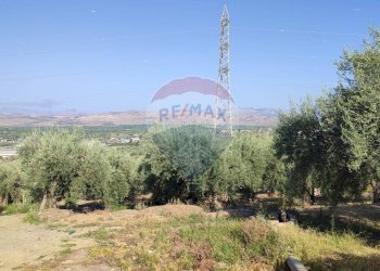 Vista delle montagne - Terreno agricolo Contrada PREFALACI
snc, Paterno - foto 26
