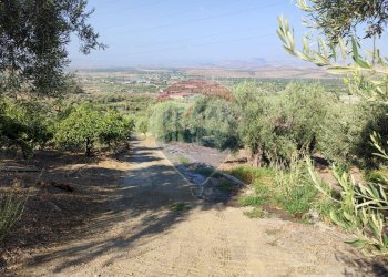 Vista delle montagne - Terreno agricolo Contrada PREFALACI
snc, Paterno - foto 28