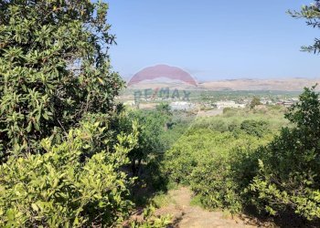 Vista delle montagne - Terreno agricolo Contrada PREFALACI
snc, Paterno - foto 31