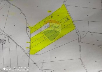 Pianta 2D - Terreno agricolo Contrada PREFALACI
snc, Paterno - foto 5