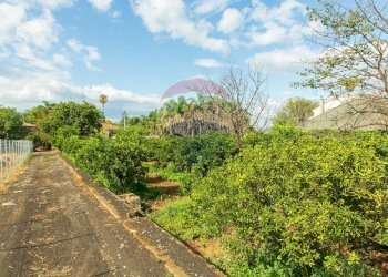 Giardino - Terreno agricolo str. 87, 51
 
30, Santa Venerina - foto 3