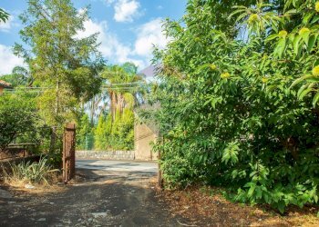 Giardino - Terreno agricolo str. 87, 51
 
30, Santa Venerina - foto 7