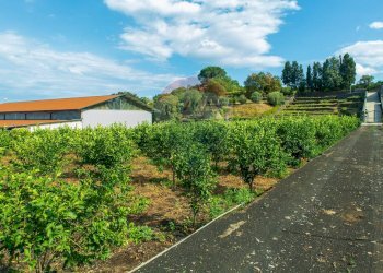 Giardino - Terreno agricolo str. 87, 51
 
30, Santa Venerina - foto 12