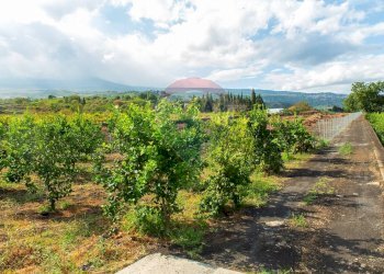Vista delle montagne - Terreno agricolo str. 87, 51
 
30, Santa Venerina - foto 14
