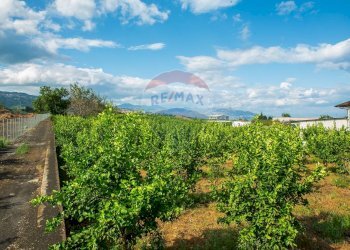 Giardino - Terreno agricolo str. 87, 51
 
30, Santa Venerina - foto 15