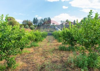 Giardino - Terreno agricolo str. 87, 51
 
30, Santa Venerina - foto 16