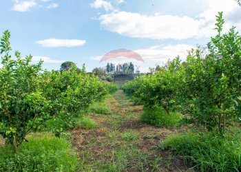 Giardino - Terreno agricolo str. 87, 51
 
30, Santa Venerina - foto 18