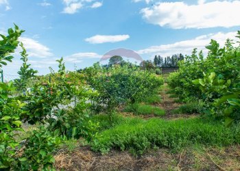 Giardino - Terreno agricolo str. 87, 51
 
30, Santa Venerina - foto 20