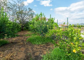 Giardino - Terreno agricolo str. 87, 51
 
30, Santa Venerina - foto 21