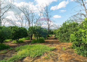 Giardino - Terreno agricolo str. 87, 51
 
30, Santa Venerina - foto 23