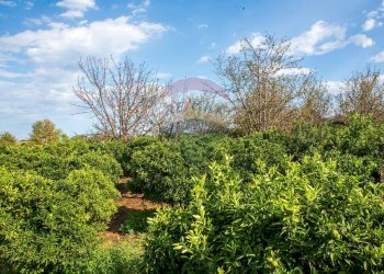 Giardino - Terreno agricolo str. 87, 51
 
30, Santa Venerina - foto 26