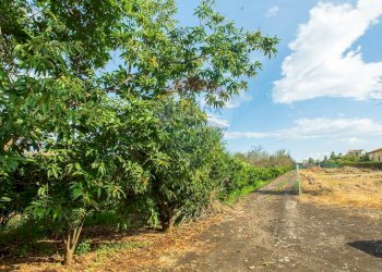 Giardino - Terreno agricolo str. 87, 51
 
30, Santa Venerina - foto 27