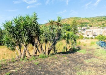Giardino - Terreno agricolo Via Archimede
 
38, Zafferana Etnea - foto 9