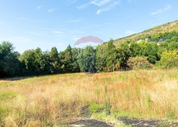 Giardino - Terreno agricolo Via Archimede
 
38, Zafferana Etnea - foto 11