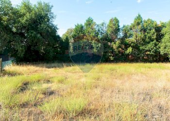 Giardino - Terreno agricolo Via Archimede
 
38, Zafferana Etnea - foto 13