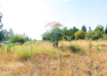 Giardino - Terreno agricolo Via Archimede
 
38, Zafferana Etnea - foto 32