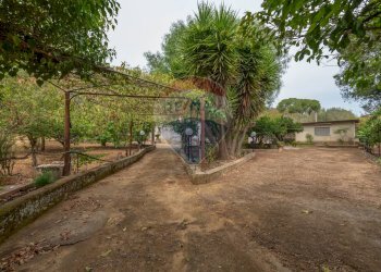 Giardino - Casa indipendente Sp178, Caltagirone - foto 5