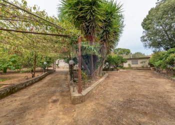 Giardino - Casa indipendente Sp178, Caltagirone - foto 8