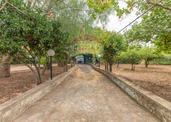 Giardino - Casa indipendente Sp178, Caltagirone - foto 9